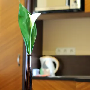 residence-baron.inbudapesthotels.com/